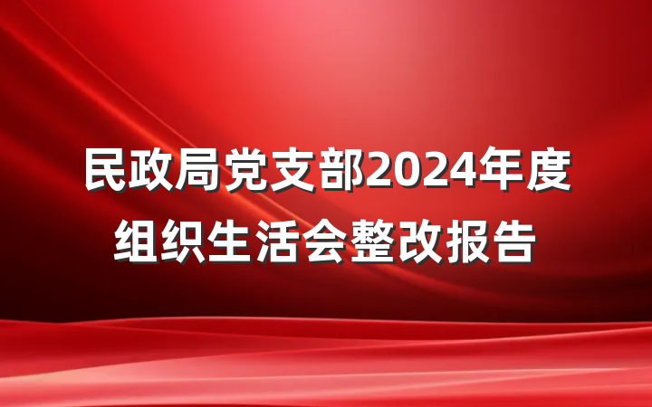 民政局党支部2024年度组织生活会整改报告