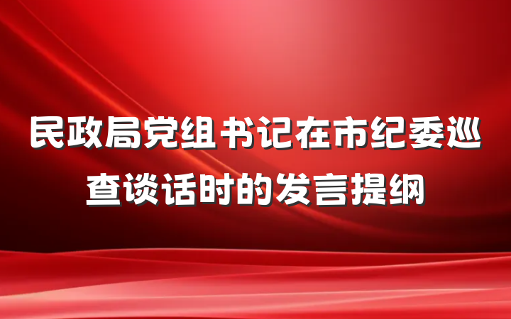 民政局党组书记在市纪委巡查谈话时的发言提纲