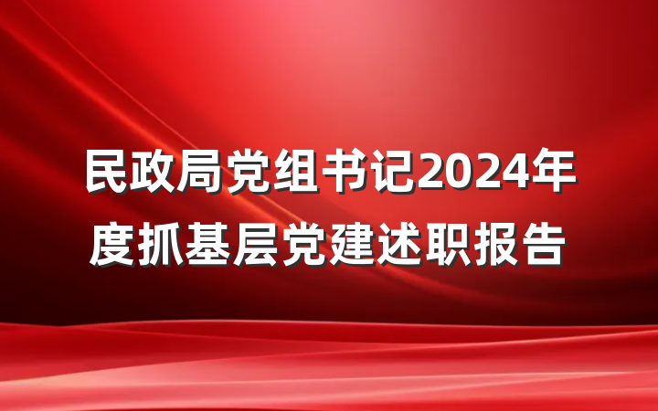 民政局党组书记2024年度抓基层党建述职报告
