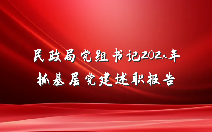 民政局党组书记202x年抓基层党建述职报告