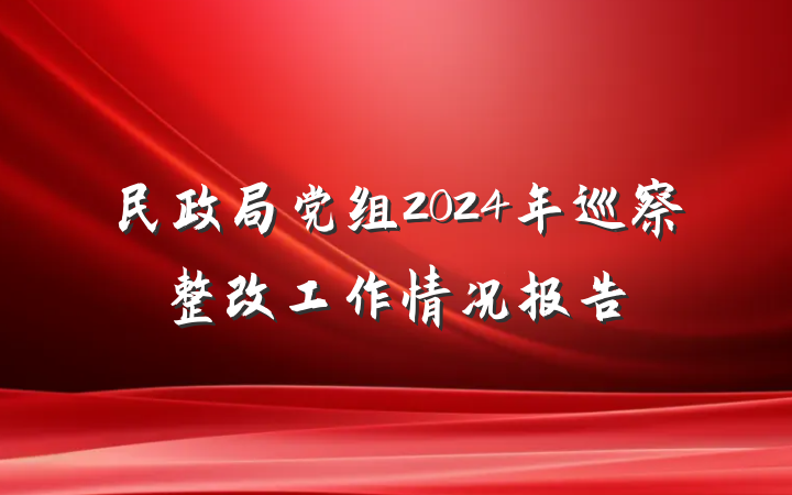 民政局党组2024年巡察整改工作情况报告