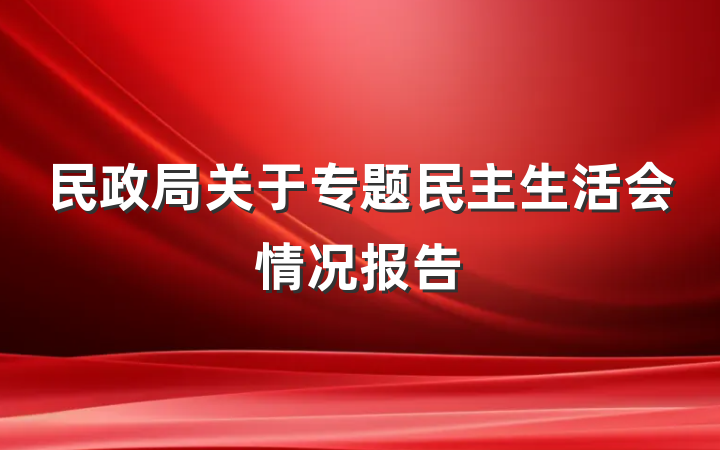 民政局关于专题民主生活会情况报告