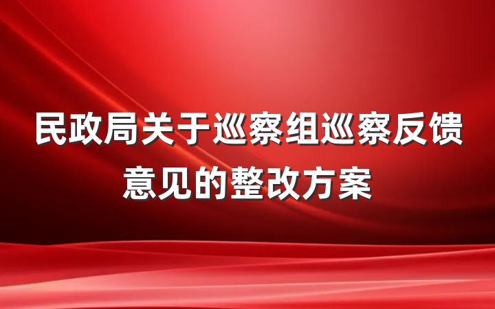 民政局关于巡察组巡察反馈意见的整改方案