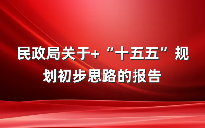 民政局关于 “十五五”规划初步思路的报告