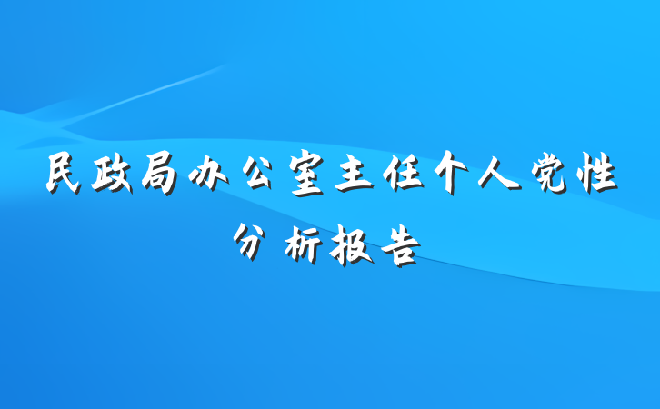 民政局办公室主任个人党性分析报告