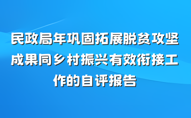 民政局年巩固拓展脱贫攻坚成果同乡村振兴有效衔接工作的自评报告