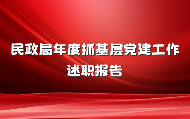 民政局年度抓基层党建工作述职报告