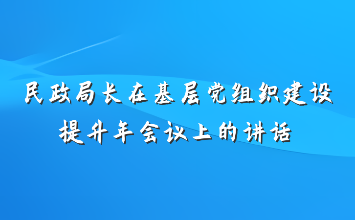 民政局长在基层党组织建设提升年会议上的讲话
