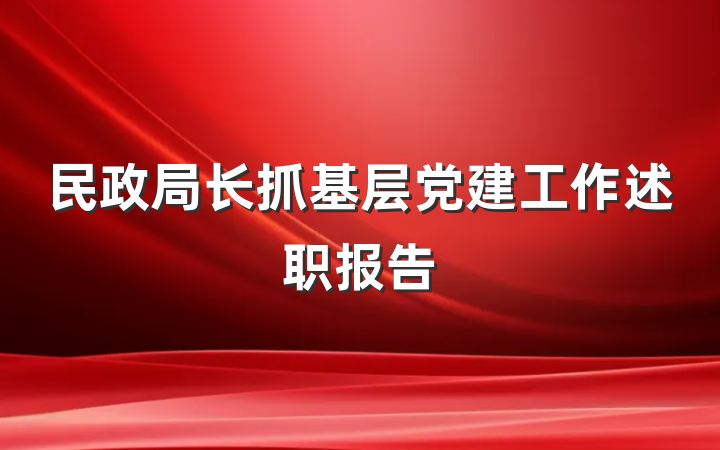 民政局长抓基层党建工作述职报告
