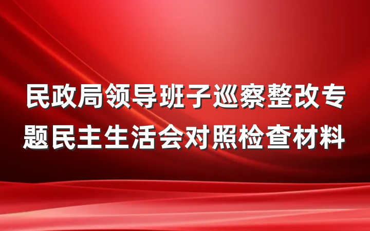 民政局领导班子巡察整改专题民主生活会对照检查材料