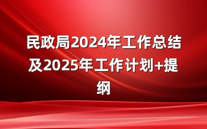 民政局2024年工作总结及2025年工作计划 提纲