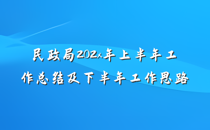 民政局202x年上半年工作总结及下半年工作思路
