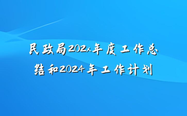 民政局202x年度工作总结和2024年工作计划