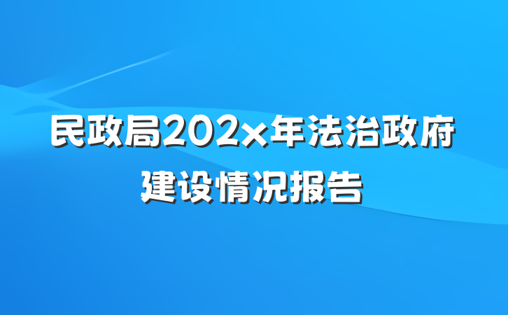 民政局202x年法治政府建设情况报告