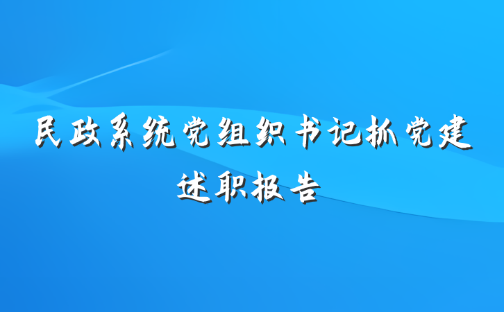 民政系统党组织书记抓党建述职报告