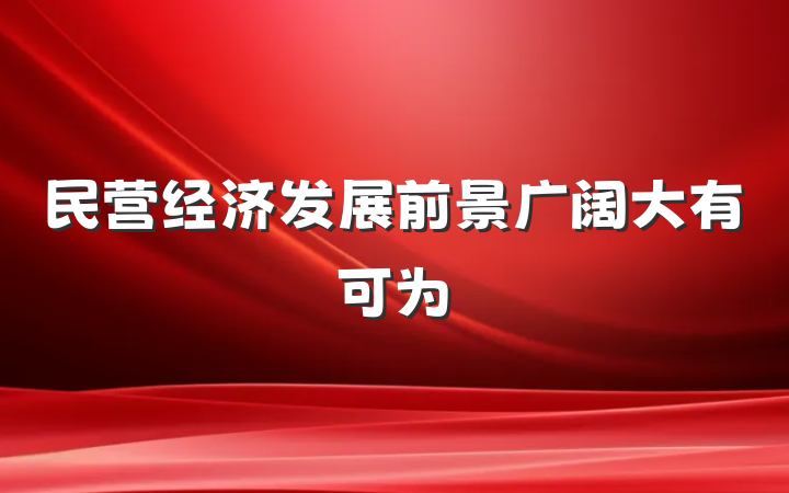 民营经济发展前景广阔大有可为