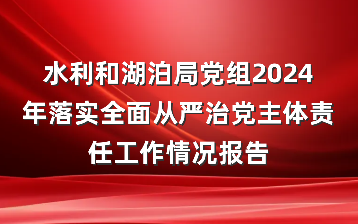 水利和湖泊局党组2024年落实全面从严治党主体责任工作情况报告
