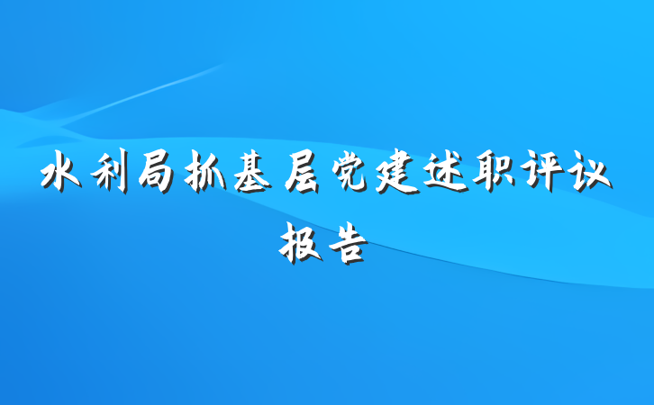 水利局抓基层党建述职评议报告