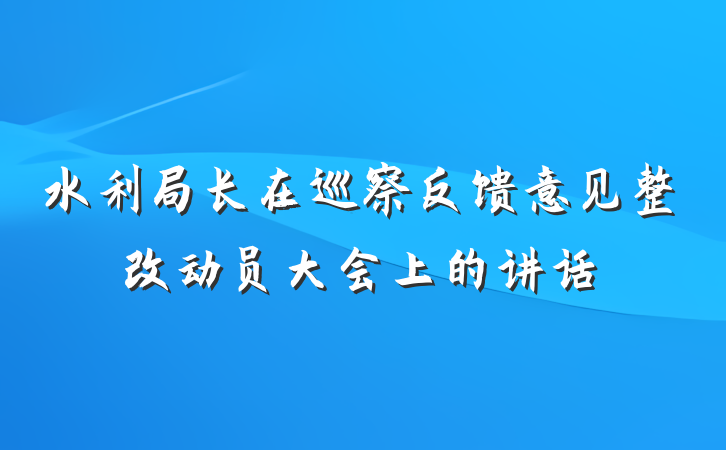 水利局长在巡察反馈意见整改动员大会上的讲话