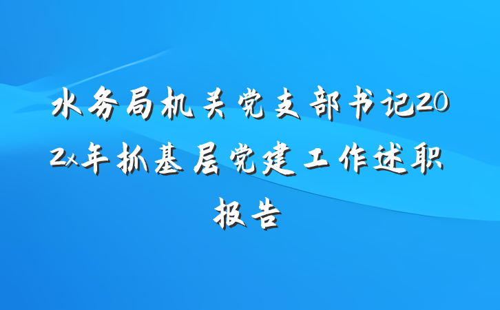 水务局机关党支部书记202x年抓基层党建工作述职报告
