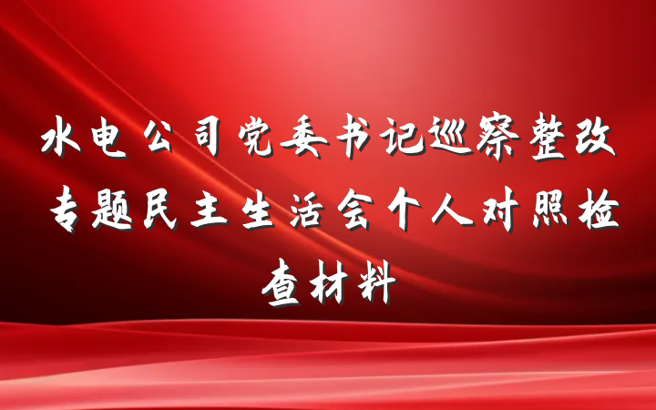 水电公司党委书记巡察整改专题民主生活会个人对照检查材料