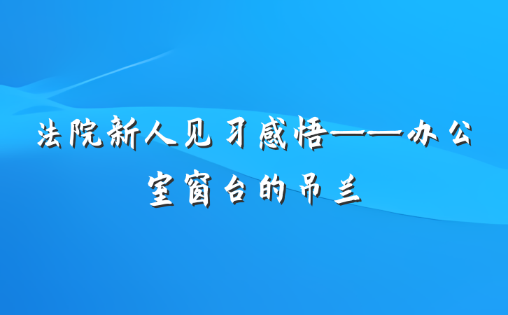 法院新人见习感悟——办公室窗台的吊兰