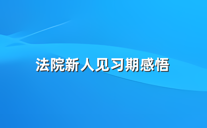 法院新人见习期感悟