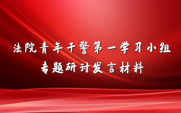 法院青年干警第一学习小组专题研讨发言材料