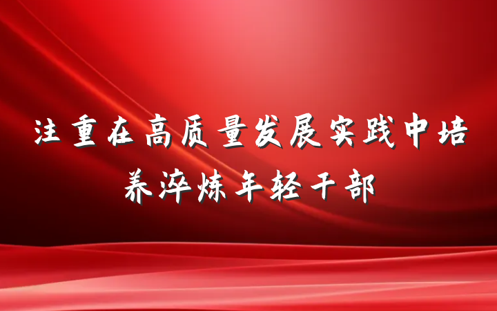 注重在高质量发展实践中培养淬炼年轻干部