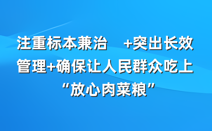 注重标本兼治　 突出长效管理 确保让人民群众吃上“放心肉菜粮”