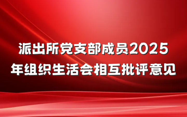 派出所党支部成员2025年组织生活会相互批评意见