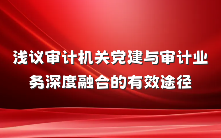 浅议审计机关党建与审计业务深度融合的有效途径