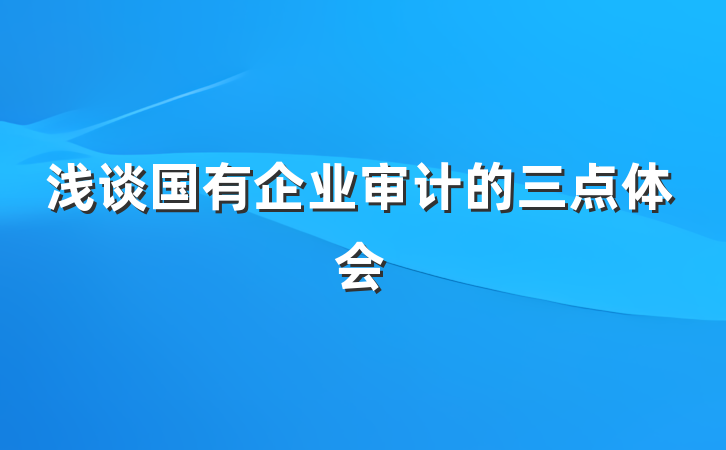 浅谈国有企业审计的三点体会