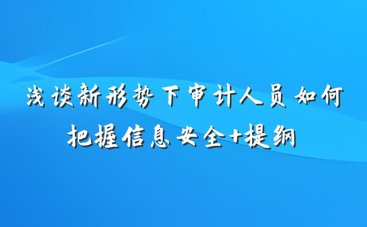 浅谈新形势下审计人员如何把握信息安全 提纲