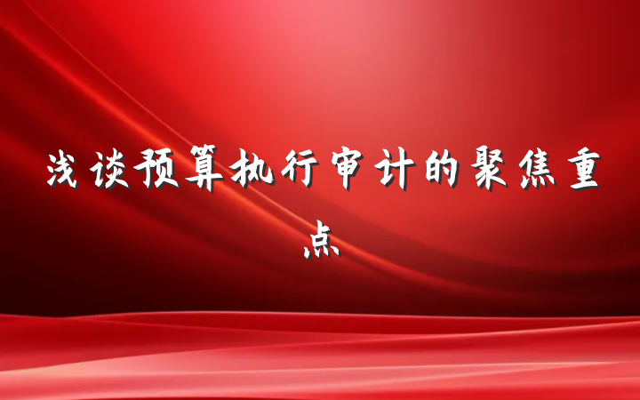 浅谈预算执行审计的聚焦重点