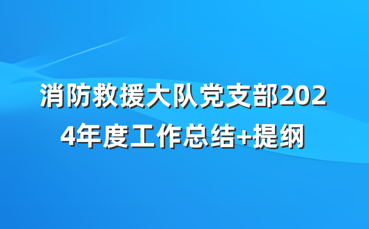 消防救援大队党支部2024年度工作总结 提纲