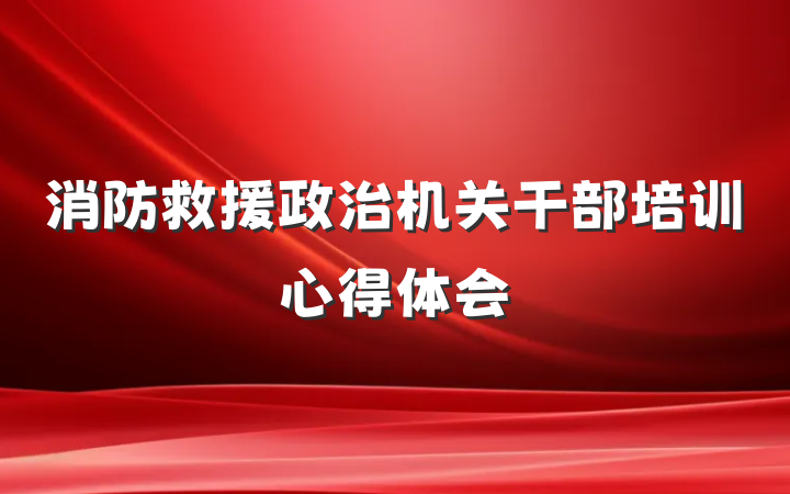 消防救援政治机关干部培训心得体会