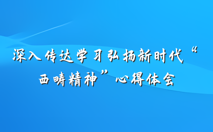 深入传达学习弘扬新时代“西畴精神”心得体会