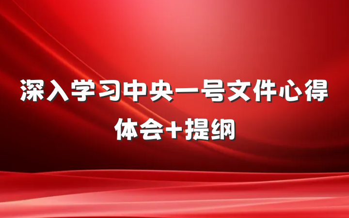 深入学习中央一号文件心得体会 提纲