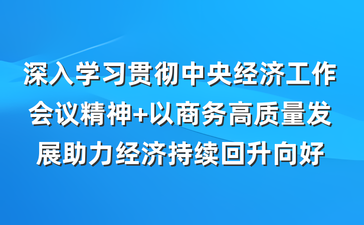 深入学习贯彻中央经济工作会议精神 以商务高质量发展助力经济持续回升向好