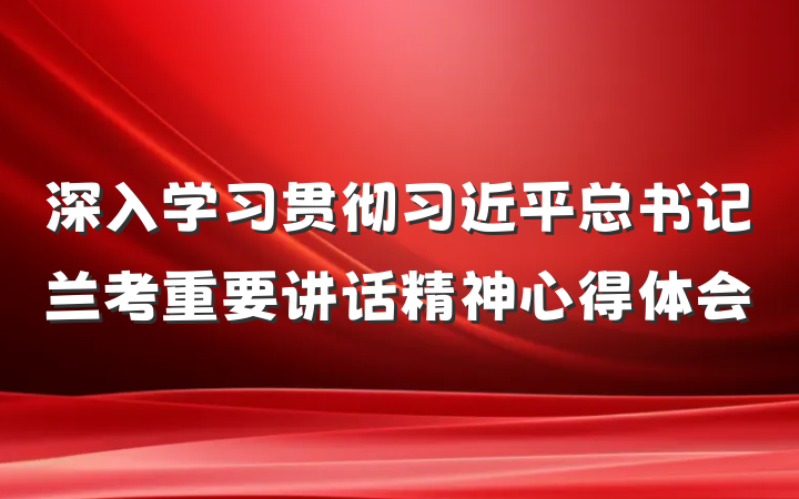 深入学习贯彻习近平总书记兰考重要讲话精神心得体会
