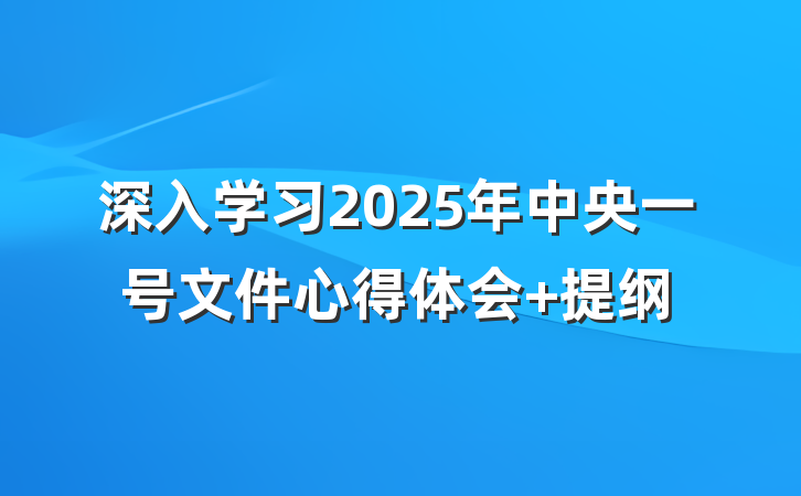 深入学习2025年中央一号文件心得体会 提纲