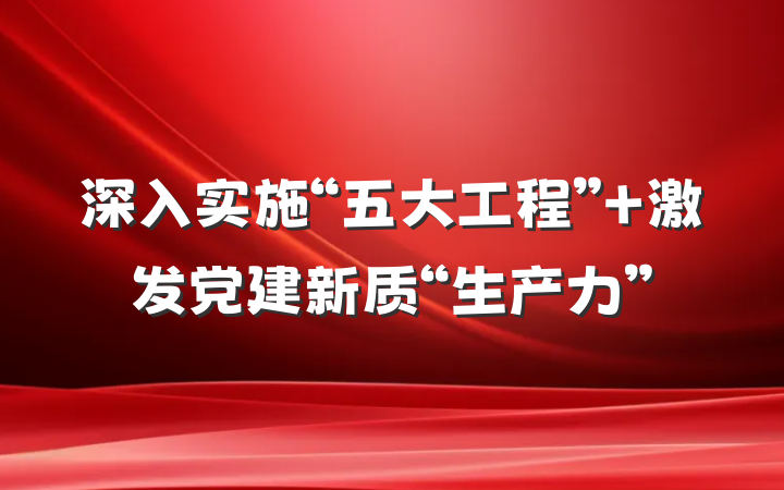 深入实施“五大工程”+激发党建新质“生产力”