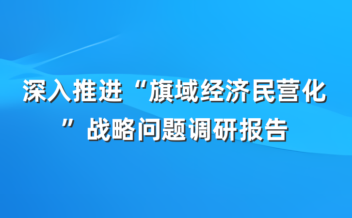 深入推进“旗域经济民营化”战略问题调研报告
