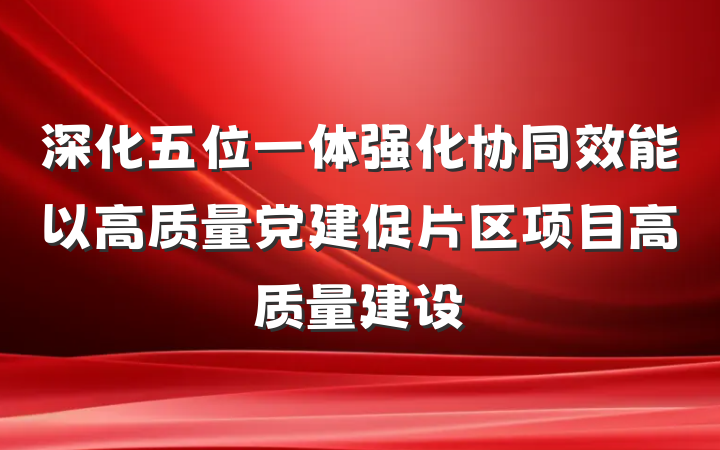 深化五位一体强化协同效能以高质量党建促片区项目高质量建设