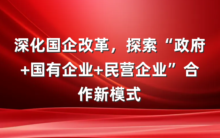 深化国企改革，探索“政府+国有企业+民营企业”合作新模式