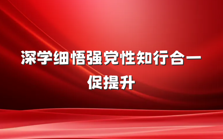 深学细悟强党性 知行合一促提升