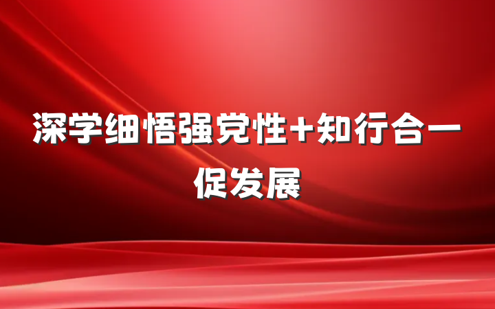 深学细悟强党性 知行合一促发展