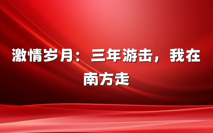 激情岁月：三年游击，我在南方走