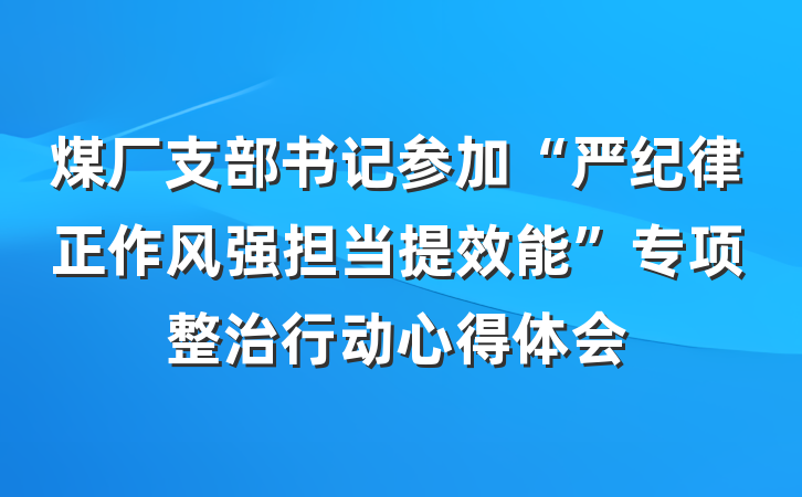 煤厂支部书记参加“严纪律正作风强担当提效能”专项整治行动心得体会
